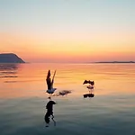 10 Person In