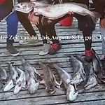 10 Person In Brattvag
