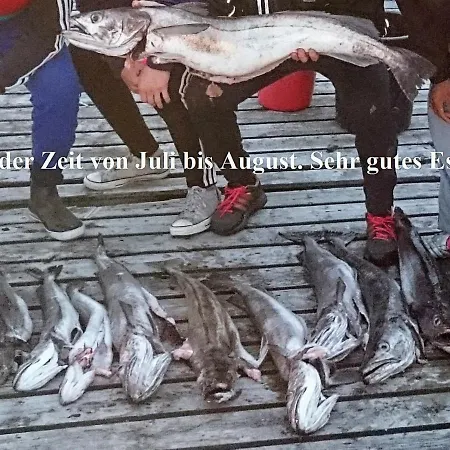 10 Person In Brattvåg