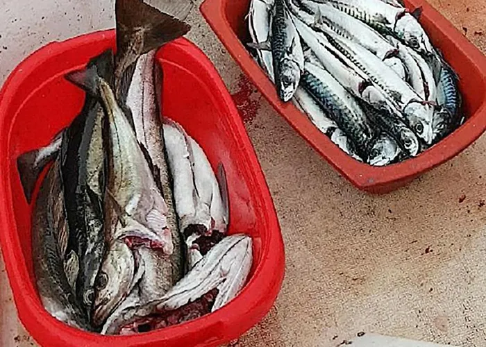 Feriehus 10 Person In